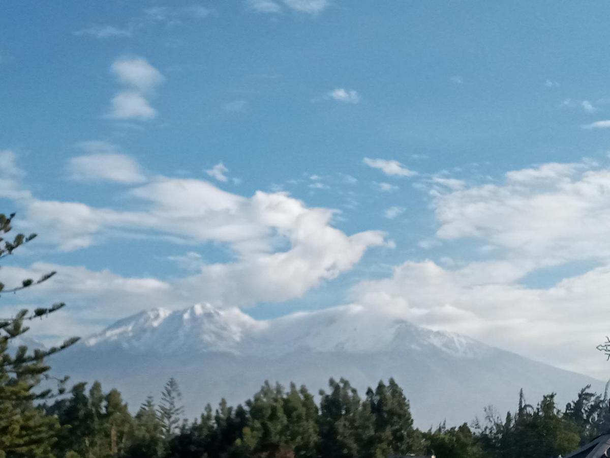 El Monarca Arequipa Otel Dış mekan fotoğraf